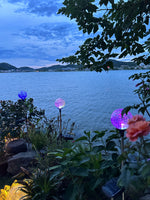 Load image into Gallery viewer, SOLPEX Solar Northern Lights Sphere