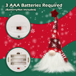 Load image into Gallery viewer, Gigalumi Lighted Christmas Gnome Santa (Set of 2)