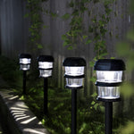 Load image into Gallery viewer, Gigalumi Double Ring Solar Pathway Lights– Cold White (Set of 12)