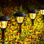 Load image into Gallery viewer, Gigalumi glass solar garden lights