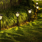 Load image into Gallery viewer, Gigalumi Stylish Solar Garden Lights with Glass like Shade (Set of 6)