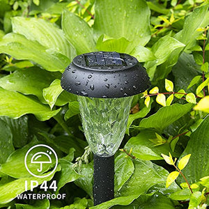 Modern Style Solar-Powered Pathway Lights (Set of 12)