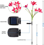 Load image into Gallery viewer, GIGAUMI Solar Lily Flower Lights Outdoor with Multi-Color Changing LED
