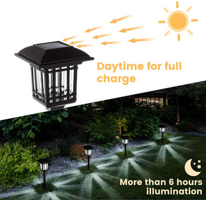 Bright Solar Pathway Lights– Cold White (Set of 8)