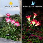 Load image into Gallery viewer, GIGAUMI Solar Lily Flower Lights Outdoor with Multi-Color Changing LED
